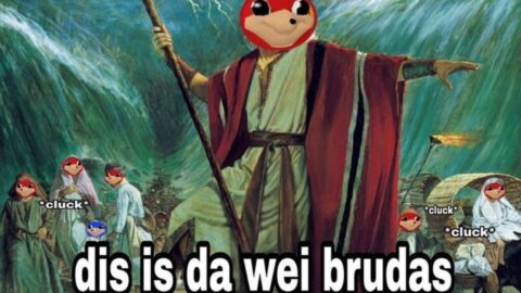 Random memes I permanently borrowed PT.942