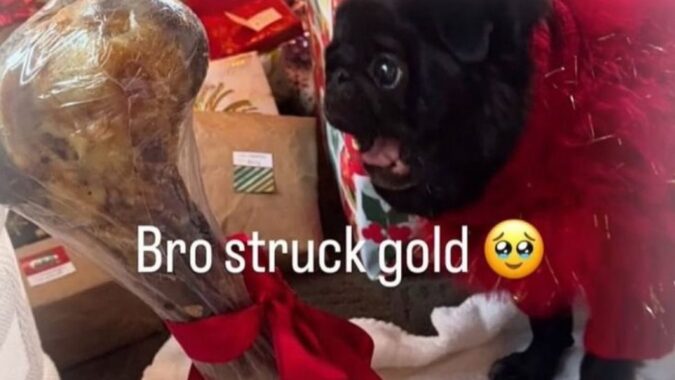Random memes I permanently borrowed PT.1556